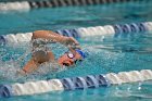 Swimming & Diving vs Babson  Swimming & Diving vs Babson College. - Photo by Keith Nordstrom : Wheaton, Swimming